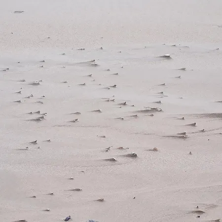 Cztery Wody Apartamento Dziwnów