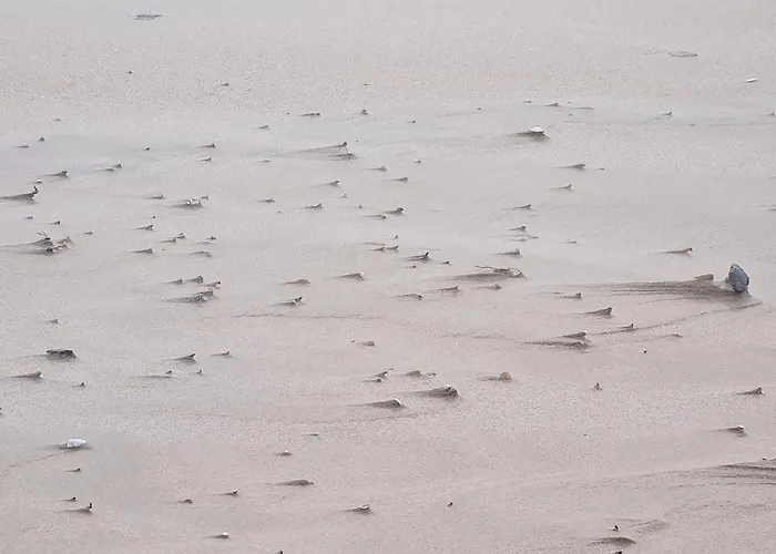 Cztery Wody Lejlighed Dziwnów